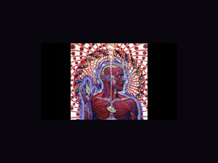 tool:schism 