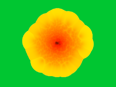 Flowers generator (Voronoi diagram)