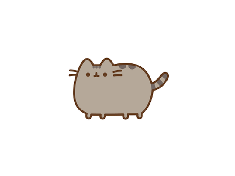 A Video Of Pusheen!