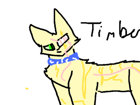 Storm OC ~ Timber