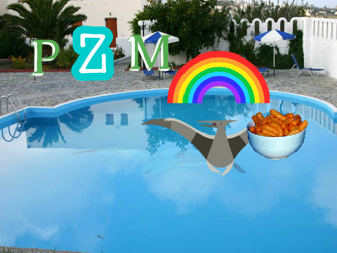 p z m 