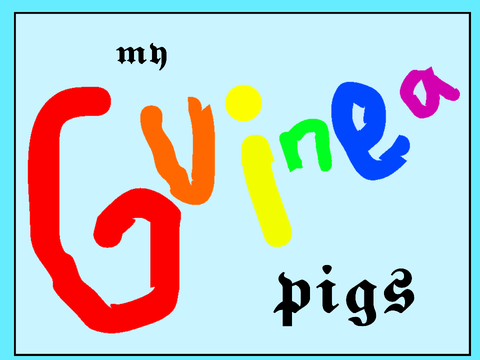 Guinea Pig Album 1