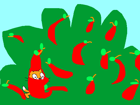 My First Projetcs