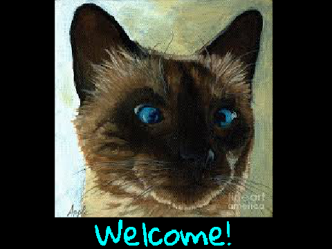 Welcome!