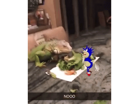 sonic slaps iguana