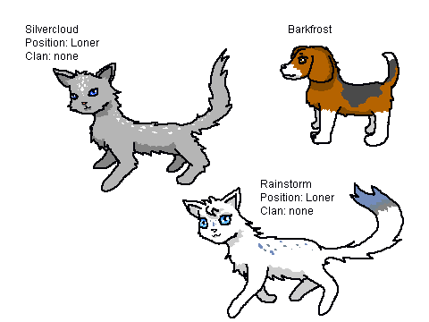 cats(WTCR)