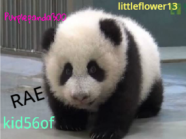 Sign if you HATE panda poaching! remix