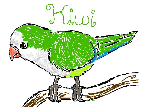 MY NEW PARROT