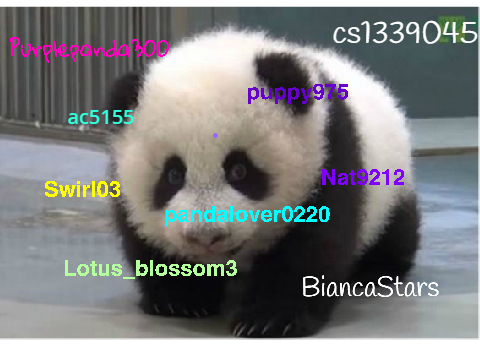 Sign if you are against PANDA POACHING! remix remix