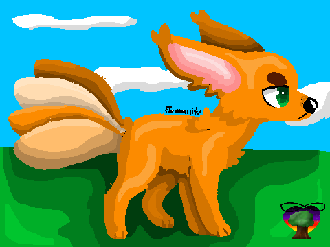 CCE ° Foxy Fox CC!°