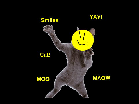 HAPPY CAT!!!