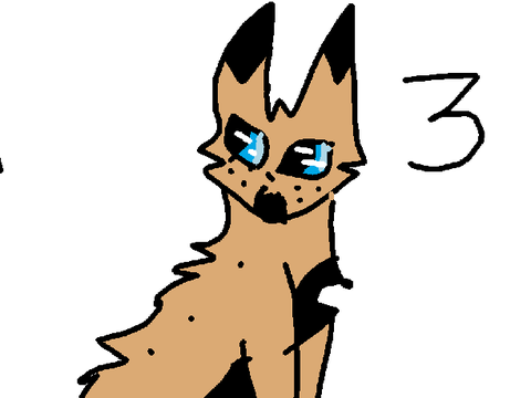 Frostblaze + Kit Ideas