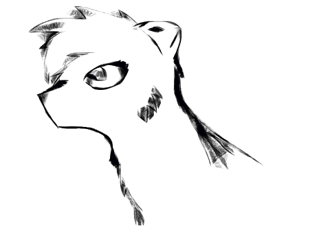 A quick animation test
