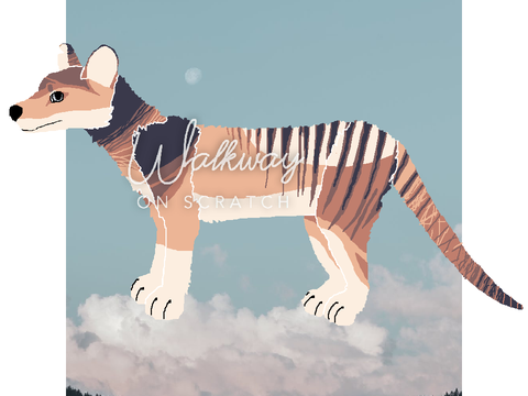 Tasmanian Tiger OC