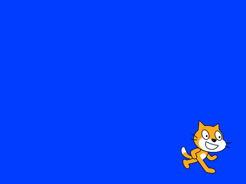 BOUNCE CAT