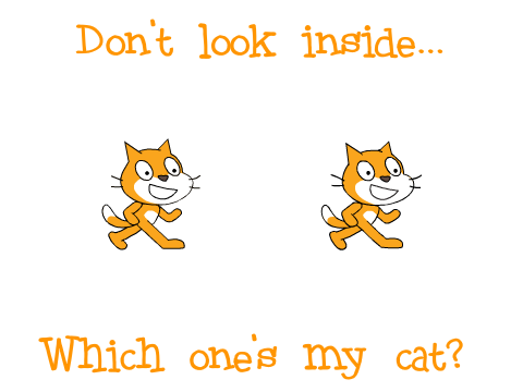 Which One Is My Cat?