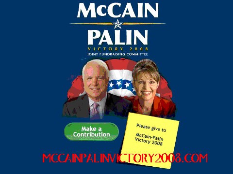 VOTE FOR: McCAIN - PALIN