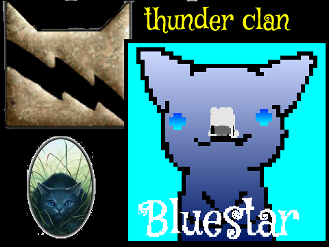 warrior cat_bluestar