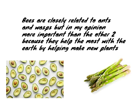 bees and why they are good :3 enjoy :3 :3 :3 :3