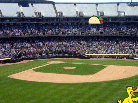 catch game