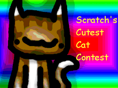 Scratch's Cutest Cat Contest