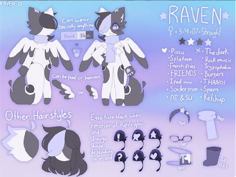 Raven's 2019 REF