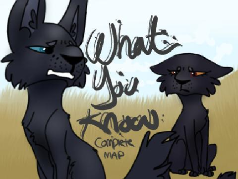 What You Know || Thumb entry