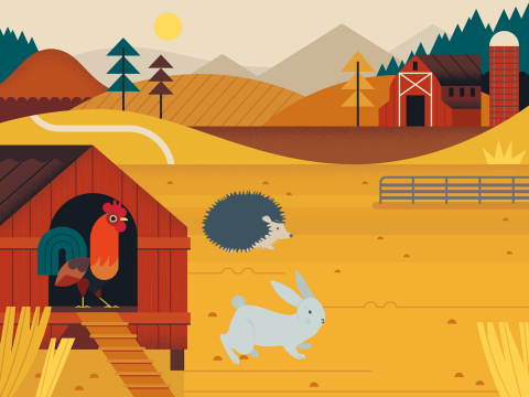 Sequence: On the Farm