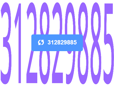 312829885