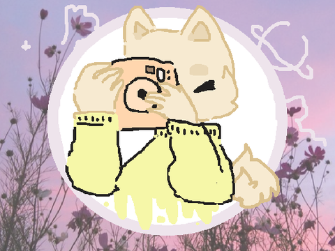 ✂ - ᴘᴏʟᴀʀᴏɪᴅ - ✂