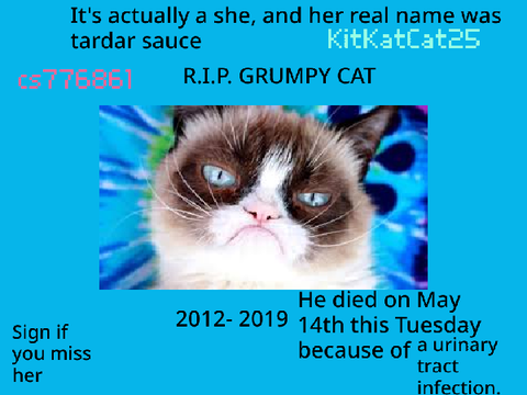 NOO GRUMPY CAT DIED!? ˚‧º·(˚ ˃̣̣̥⌓˂̣̣̥ )‧º·˚ remix remix