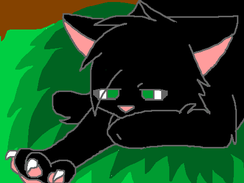 HollyLeaf Must Not Chase the Boys 