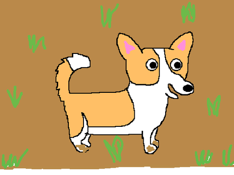 Dog CC (Open)  Entry