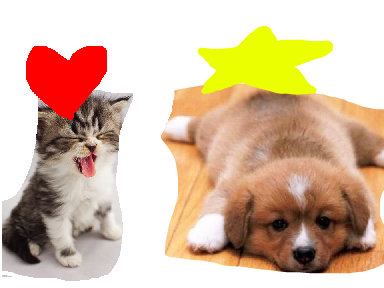 VOTE HERE!! Funny Cats vs Funny Dogs