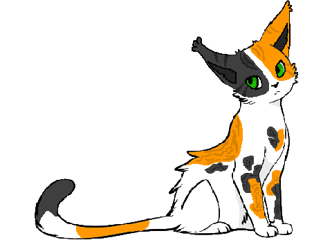 heyo