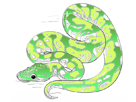 Colouring in competition! Entry