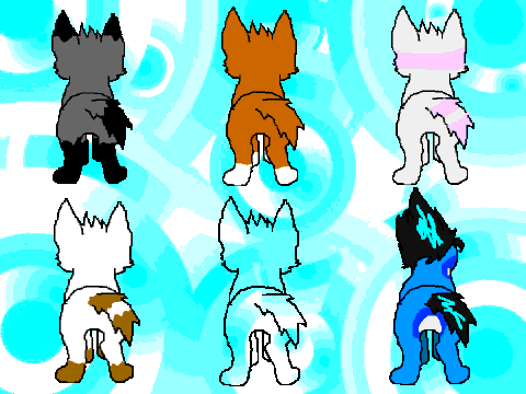ADD YOURSELF DOING THE TAIL WHIP DANCE!