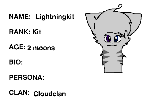 Bio of Lightningkit