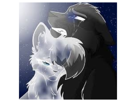 Let Her Go~ Crowfeather and Feathertail