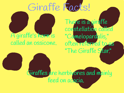 Giraffes! 