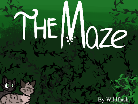 The Maze