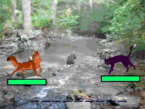 shadowclan invasion