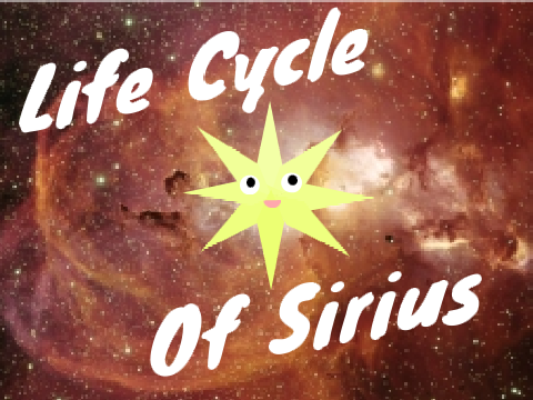 The Life Cycle of Sirius School Project