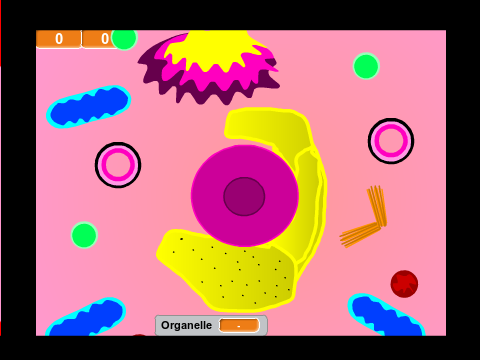 Virtual cell project