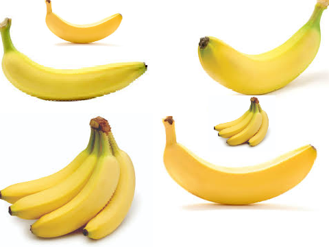 Literally Bananas