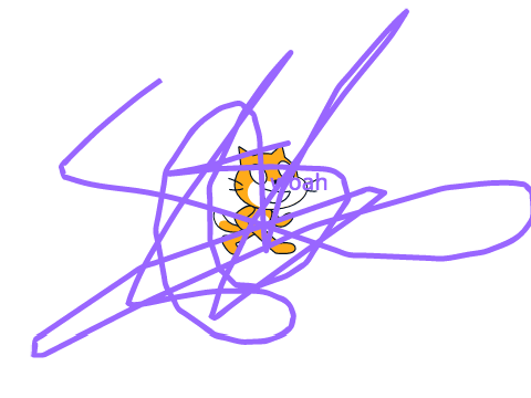 srcatch cats wsecret