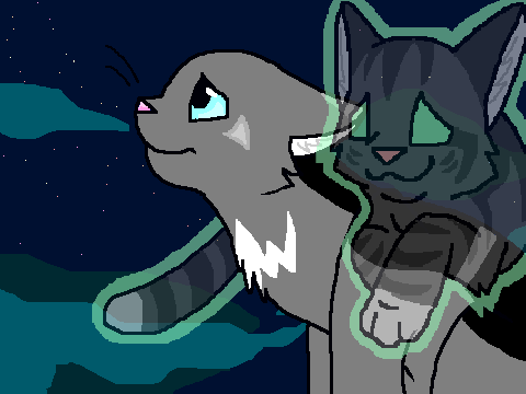 Shadowpaw Misses Duchess