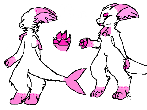 Ref Sheet For Carnation