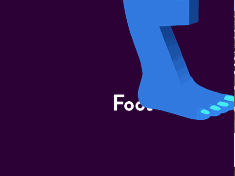 Foot