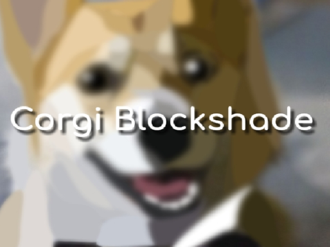 ✧ corgi block shade ✧